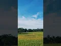 Lagu this is kota baru?
