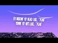 Miley Cyrus - Party In The U.S.A.