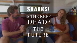 Q&A: Coral Bleaching, Sharks, how we get Power, Will We Leave OZ? – Your Questions Answered FAQ #1