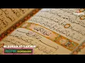 Download Lagu The Most Emotional \u0026 Soft Quran Recitation    Surah At Takwir    by Salim Bahanan  new update