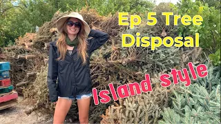 Ep 5: Tree Disposal Island Style