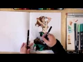 Grimm Fairy Tales Speed Coloring The Little Mermaid