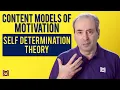 Ryan Deci Self Determination Theory SDT - Content Models of Motivation