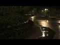 🎧 Soothing Gentle Rain in the Old Park at Night - 10 Hours for Relaxation and Sleep