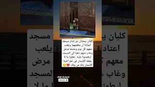 كلبان يبحثان عن إمام مسجد اعتادا أن يطعمهما ويلعب معهم كل يوم وعندما دندنها