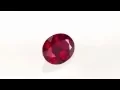 GIA No Heat Ruby Oval in Vivid Pure Red Color in 8 0 x 6 2 mm 1 52 carats - GIA Certified