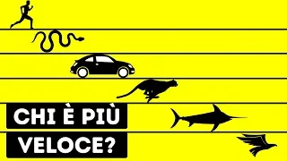 Chi È Il Più Veloce Essere Vivente Al Mondo?