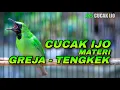 Download Lagu PANCINGAN CUCAK IJO MATERI GREJA TARUNG - TENGKEK UDANG COCOK UNTUK DONGKRAK EMOSI IJO DEWASA