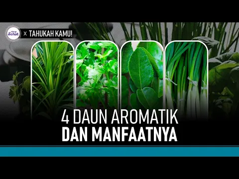 Manfaat 4 Daun Aromatik yang Sering Digunakan Untuk Masak