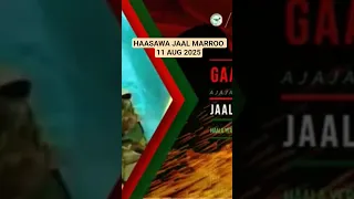 Haasawa Jaal Marroo 