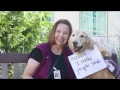 Fairview Health Services Volunteers