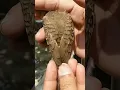Download Lagu Burung perkutut katuranggan udan mas | burung yang banyak dicari pengusaha dan pedagang #shorts