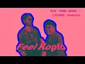 Feel koplo (old town road)-lilnas koplo