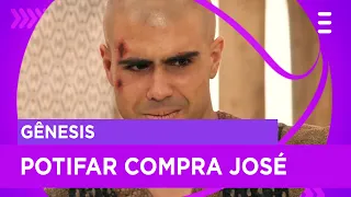José é comprado por Potifar para trabalhar na sua casa | Gênesis
