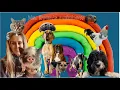 Rectangular Prism Song