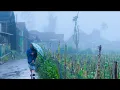 Download Lagu Penampakan Desa Terdingin Jawa Barat, Cikajang-Garut. Inilah Swiss Van Java, Setiap Hari Turun Kabut