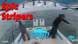 Episode 4 – Epic Striper Run
