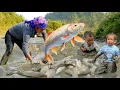Download Lagu Epic Rainy Day Fishing! Huge Pond Fish Harvest to Sell at Market \u0026 Cook for My Daughter