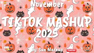 Tiktok Mashup November 2025 Not Clean 
