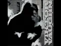 Download Lagu A Dead Mouse {Instrumental} - Viktor Vaughn // MF DOOM