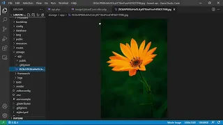 File upload with Laravel and Angular