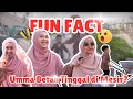Download Lagu FUN FACT MESIR YANG JARANG DIKETAHUI ! Ternyata Begini Mesir Sebenarnya!