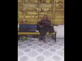 Download Lagu lagu tangan tak sapai cover umri dan ayah