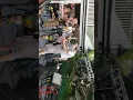 The Scofflaws - Rudy's Back - Ska - Live at Port Jeff Brewing in NY 7-14-21