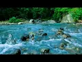 Download Lagu Aliran Sungai Lembut dan Suasana Hutan | ASMR untuk Tidur, Belajar, Meditasi dan Fokus