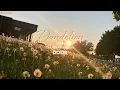 [VIETSUB] CHEN 첸 'Dandelion'