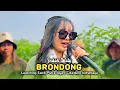 Download Lagu BRONDONG • INDAH WATY • LAUNCHING SANDI PUTRA JAYA • Cikedung Indramayu