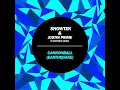 Showtek & Justin Prime ft. Matthew Koma - Cannonball (Earthquake) (Pedro Sodré Extended Mix)