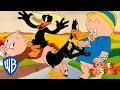 Download Lagu Looney Tunes | Iconic Duo: Porky and Daffy | Looney Tuesdays | WB Kids