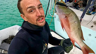 Spearfishing Ciguatera FREE Fish (Day 14/100 Day Water World Challenge)