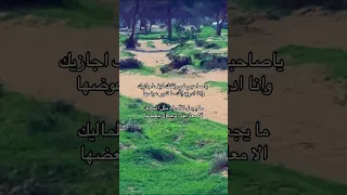ياصاحبي في وقفتك كيف أجازيك شعر 