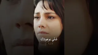 حمزة المحمداوي سويتك انسان اكسبلور Shortvideo Shorts اغاني Explore لايك حالات واتس 