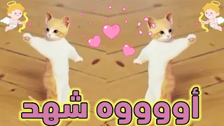 اغنية باسم شهد شوشو الحلوة السعودية ابوظبي تركيا العراق قطر مسقط البحرين الجزائر دبي جده الكويت 