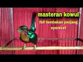 Download Lagu Suara Masteran Burung Kolibri Wulung/Kowul Gacor Full Tembakan Nyerecet Panjang