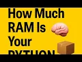 How Much RAM Is Your Python Variable Using