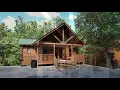 854 Black Bear Cub way