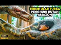 Download Lagu Ular Raksasa Penghuni Hutan Amazon - ALUR CERITA FILM Anaconda
