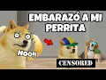PRIMO con DERECHO EMBARAZO a mi PERRITA Hilos con Cheems