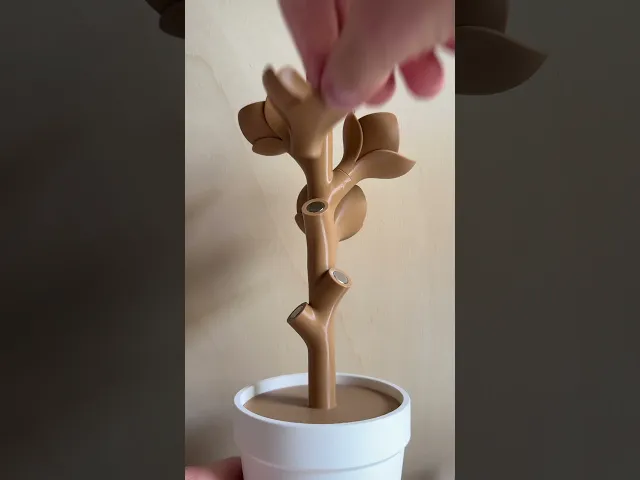 Bloom, cotton pads/tips dispenser. video thumbnail