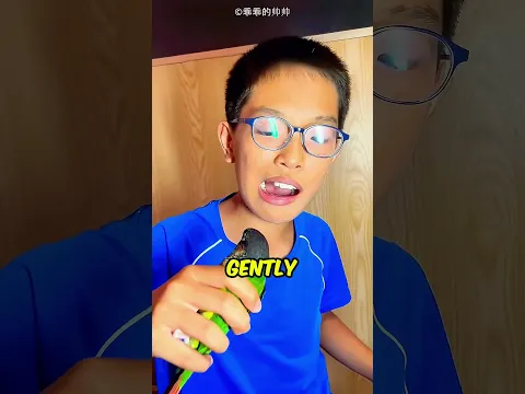 The Only Dentist Parrot In The World 😨