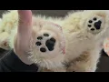 Everything you need to know about this Dog Stuffed Animal