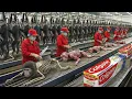 Lagu SOOTY MANGABEY Monkey Bones to Colgate Toothpaste | World’s Most Advanced Luxury Factory Process