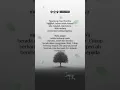 Download Lagu Jangan Terlalu Berharap Pada Manusia, Hati Mereka Milik Allah #quotes #katakatacintah #sadstory
