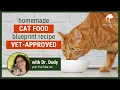 Homemade Cat Food Recipes Vet Approved Basic Blueprint