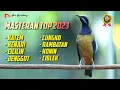 Download Lagu KUMPULAN  MASTERAN SUPER 2023 KATEM - KENARI - CILILIN - JENGGOT - CUNGKO - RAMBATAN - KONIN- CIBLEK