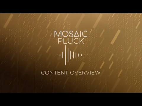 Mosaic Pluck product video